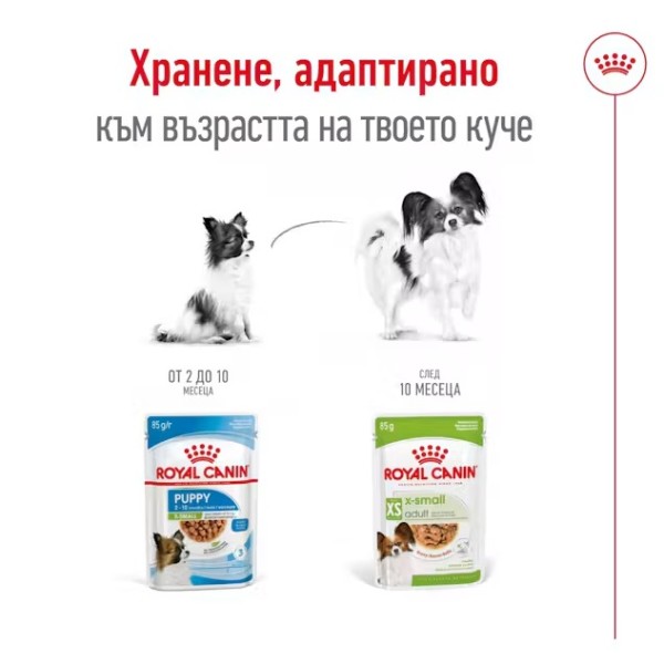 Royal Canin X-small Adult Pouch - Пълноценна мокра храна за кучета от миниатюрни породи над 10 месеца